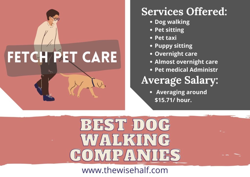 Fetch-Pet-care-reviews-1