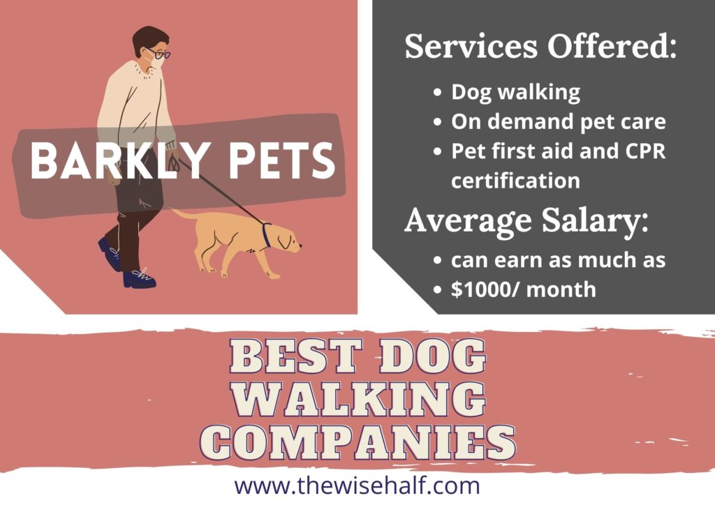 dog walking jobs in barkly pets