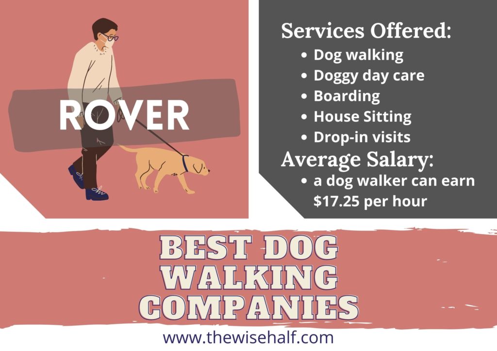 dog walking jobs in rover