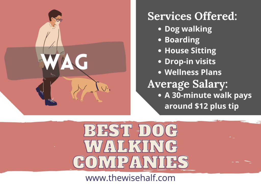 wag-dog-walking-jobs-1